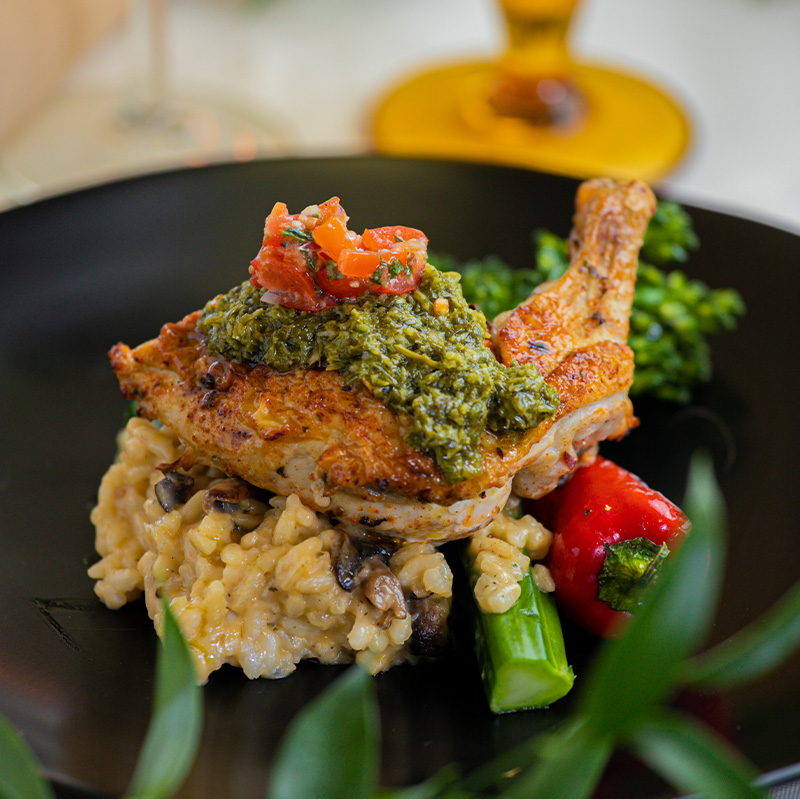 elevated-dinner-plate-with-protein-rice-and-colourful-vegetables